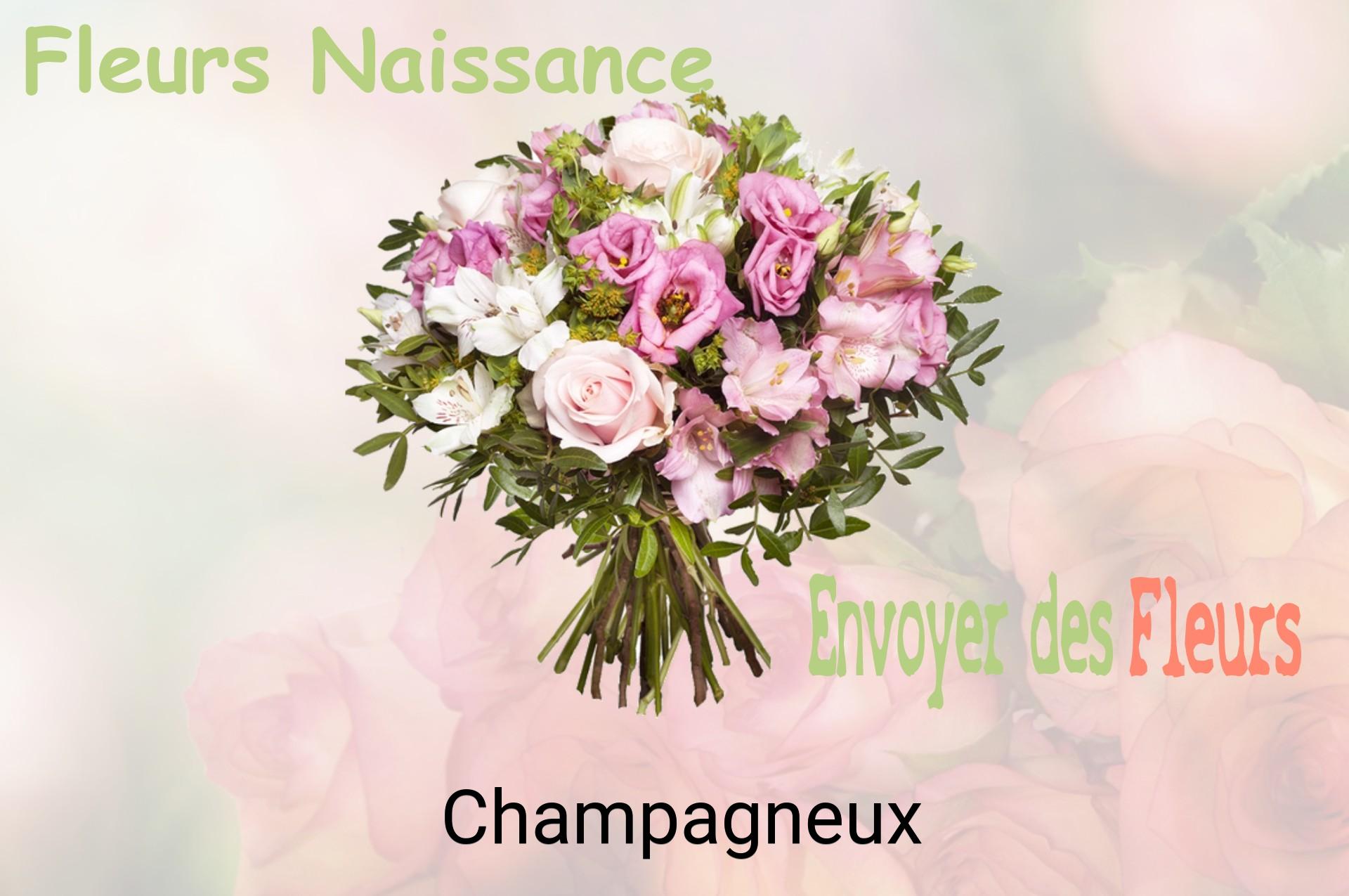 Bouquet de fleurs de naissance livré à Champagneux