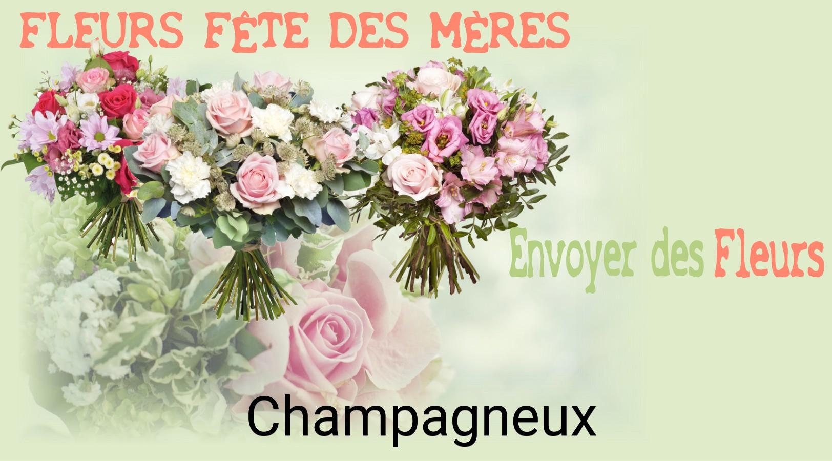 Bouquet de Fête des Mères livré à Champagneux